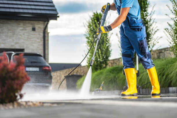 Best Roof Washing  in Allegan, MI